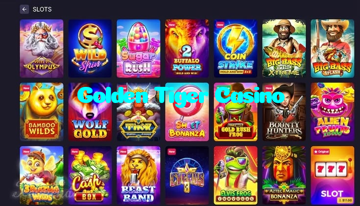 available types of Golden Tiger Casino bet including pre-match live express and system bets